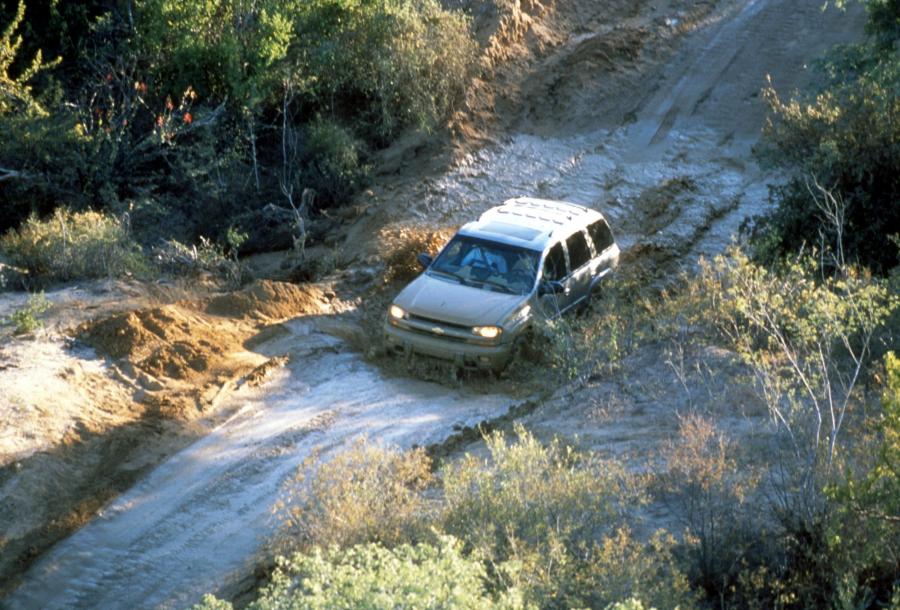  Chevrolet TrailBlazer 2002 года  (фото 61 из 77)